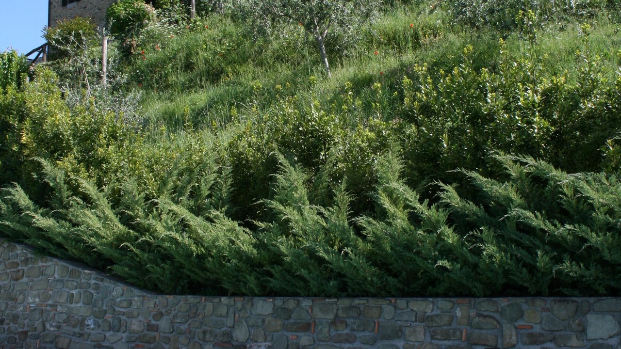 Photo of Outdoor in Mologno