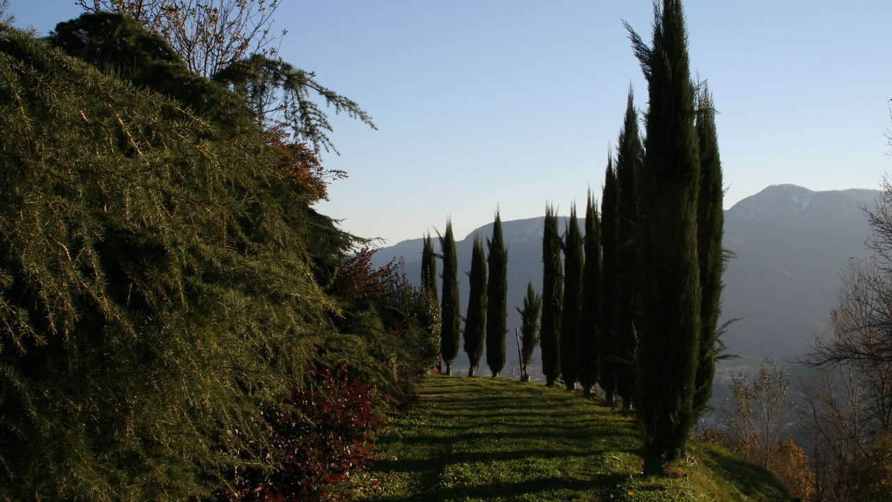 Photo of Outdoor in Mologno