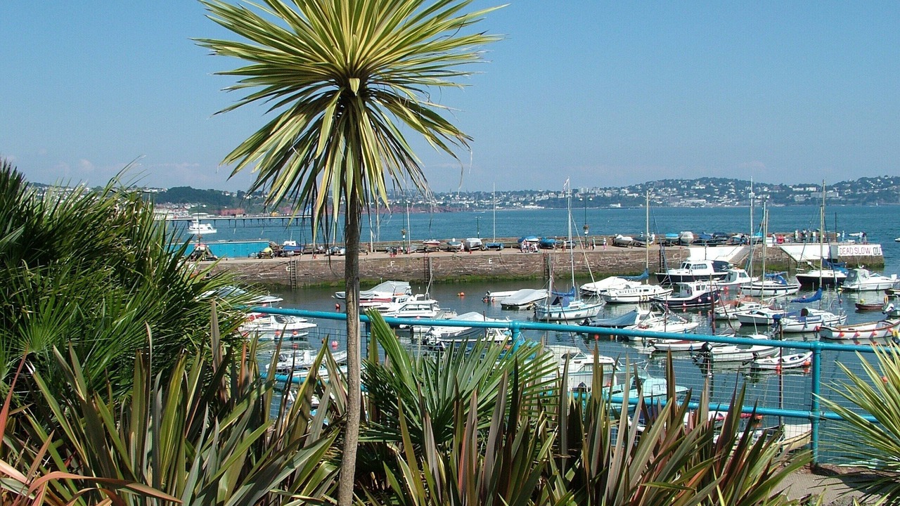 Photo of Others in Paignton