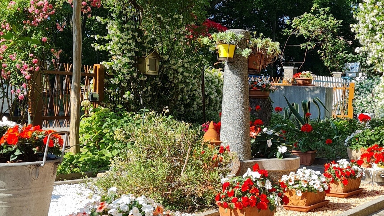 Photo of Outdoor in Cervia