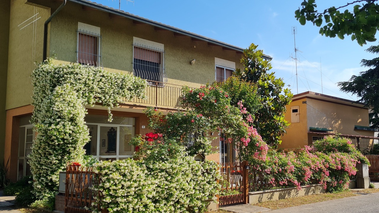 Photo of Outdoor in Cervia