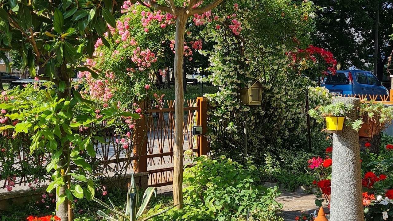 Photo of Outdoor in Cervia