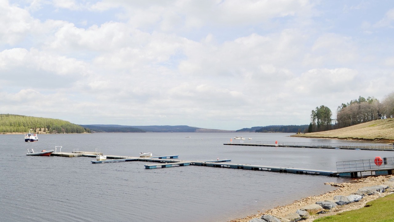 Photo of Others in Kielder