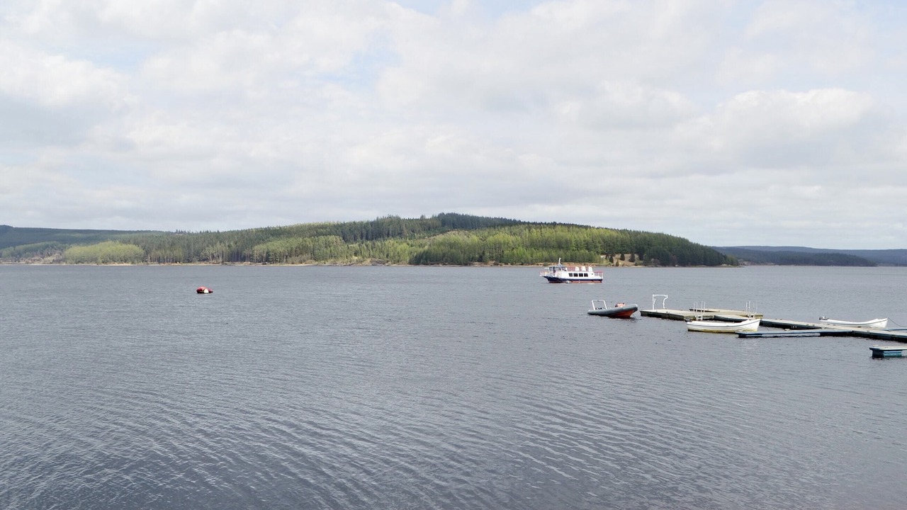 Photo of Others in Kielder