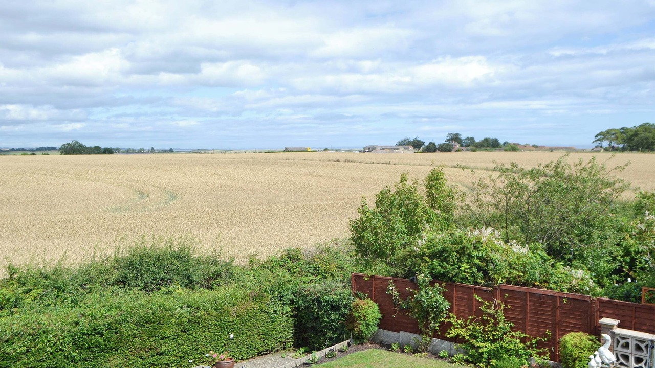 Photo of Others in Amble