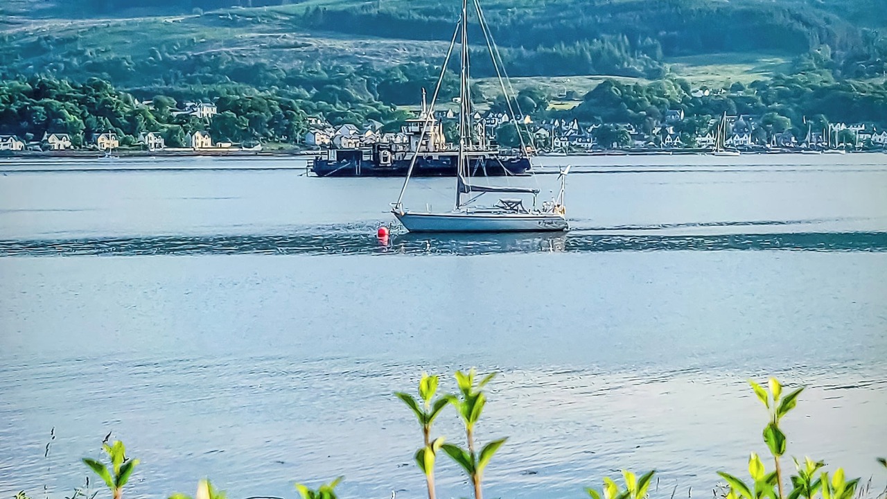 Photo of Others in Kilmun