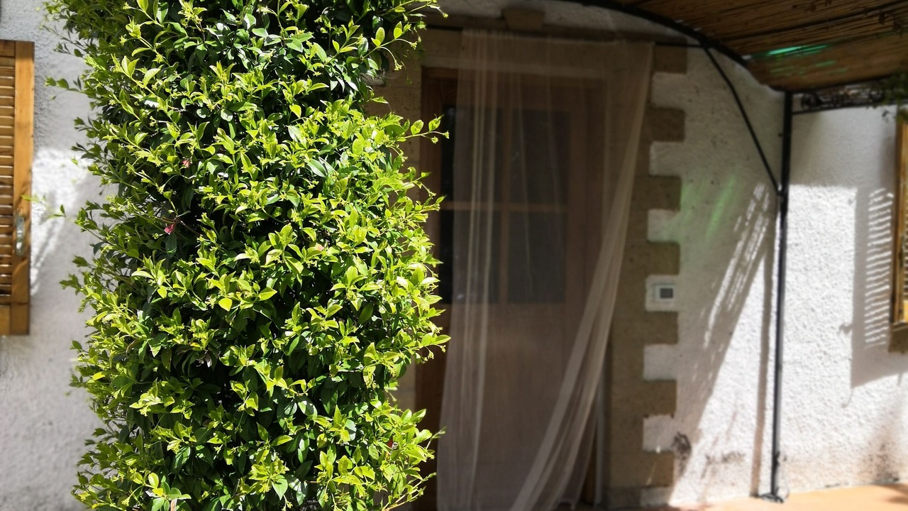 Photo of Outdoor in Sovana