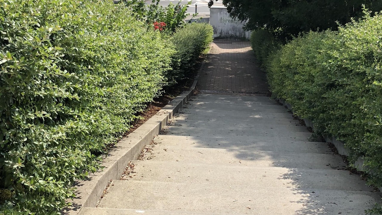 Photo of Outdoor in Bolognina