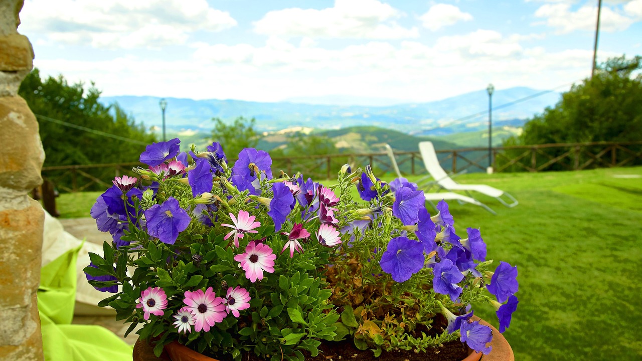 Photo of Outdoor in Monte Santa Maria Tiberina