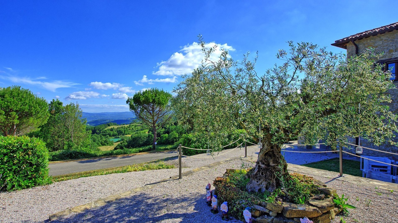 Photo of Outdoor in Monte Santa Maria Tiberina