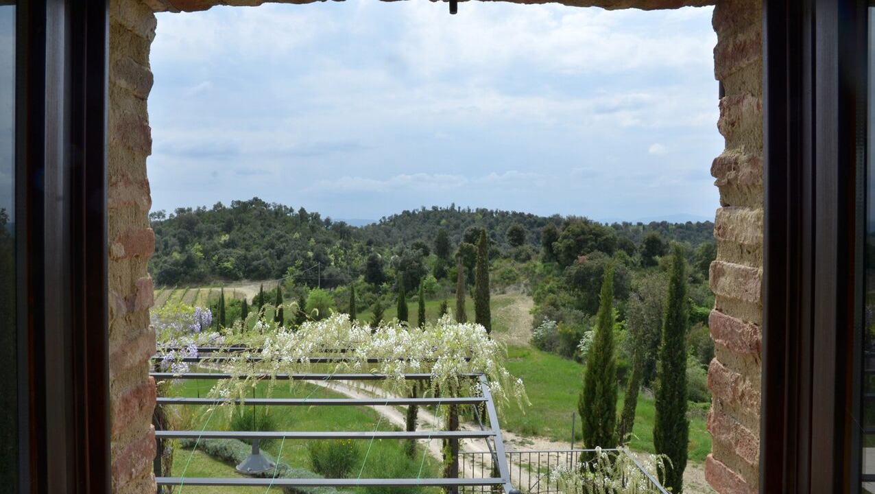 Photo of Others in Montalcino