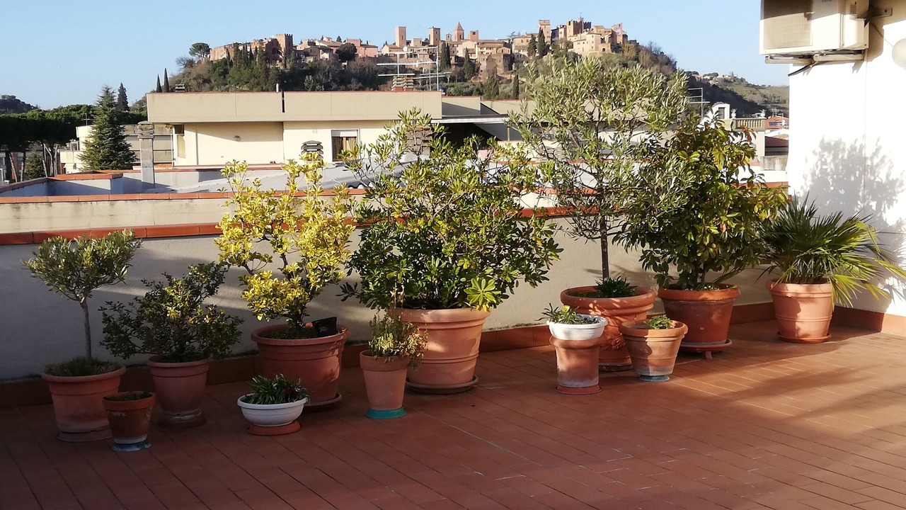 Photo of Outdoor in Certaldo