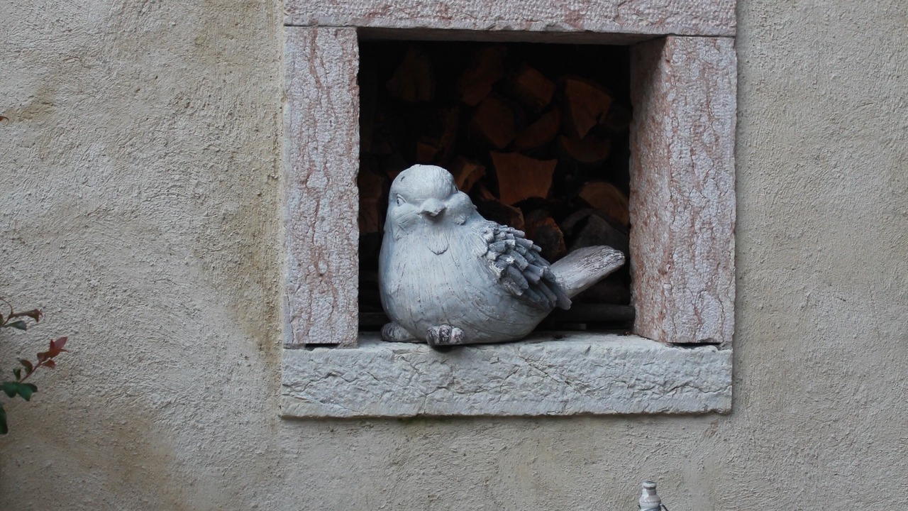 Photo of Outdoor in Caprino Veronese