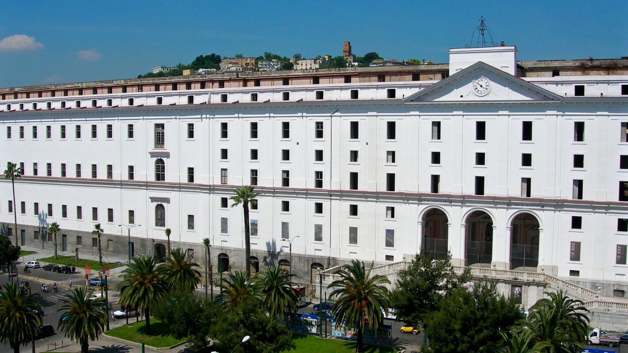 Photo of Outdoor in Naples City Centre