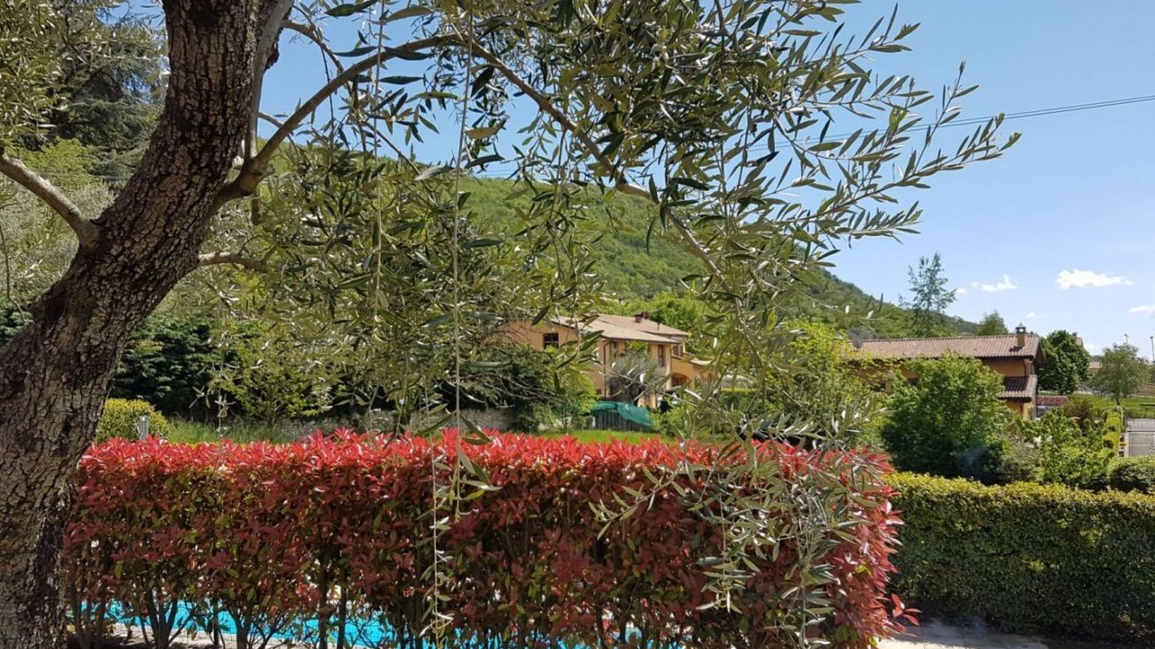 Photo of Outdoor in Albisano