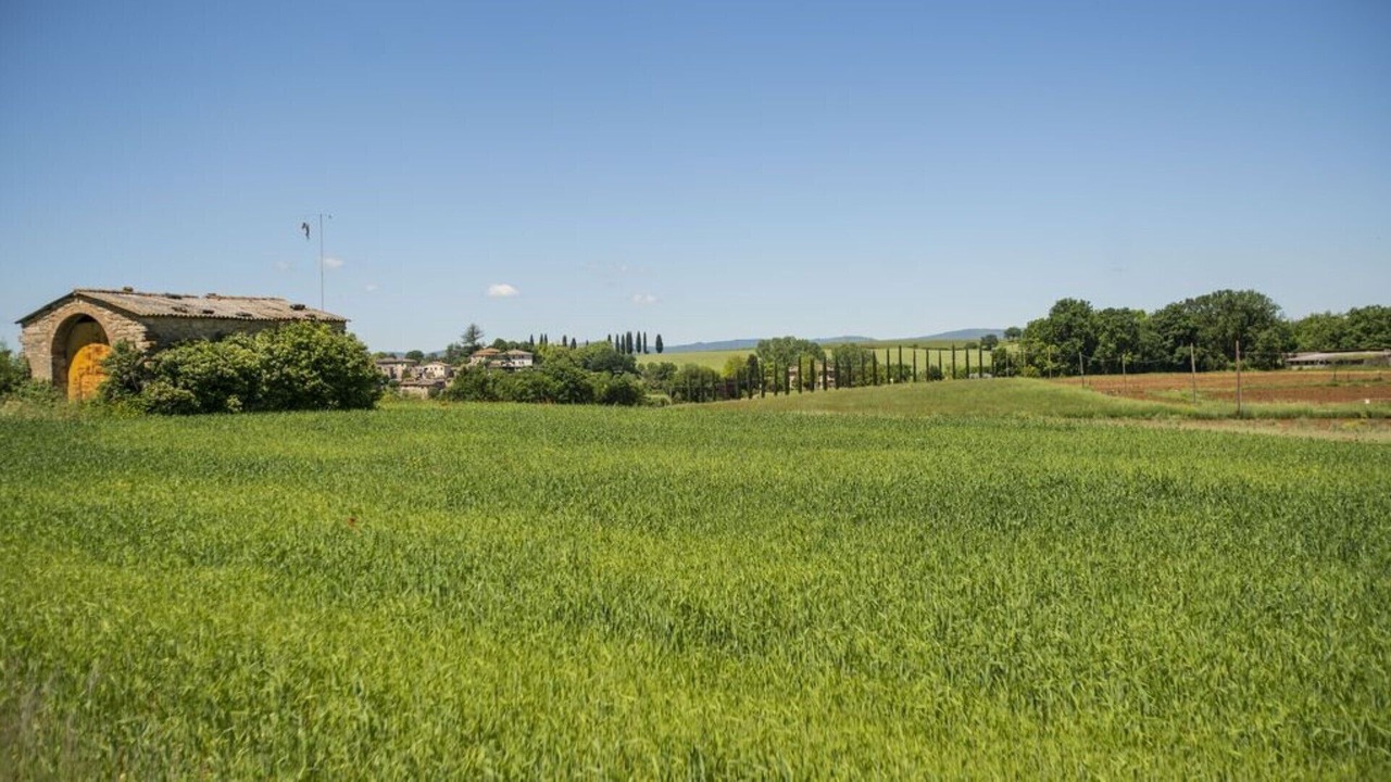 Photo of Others in Poggiarello