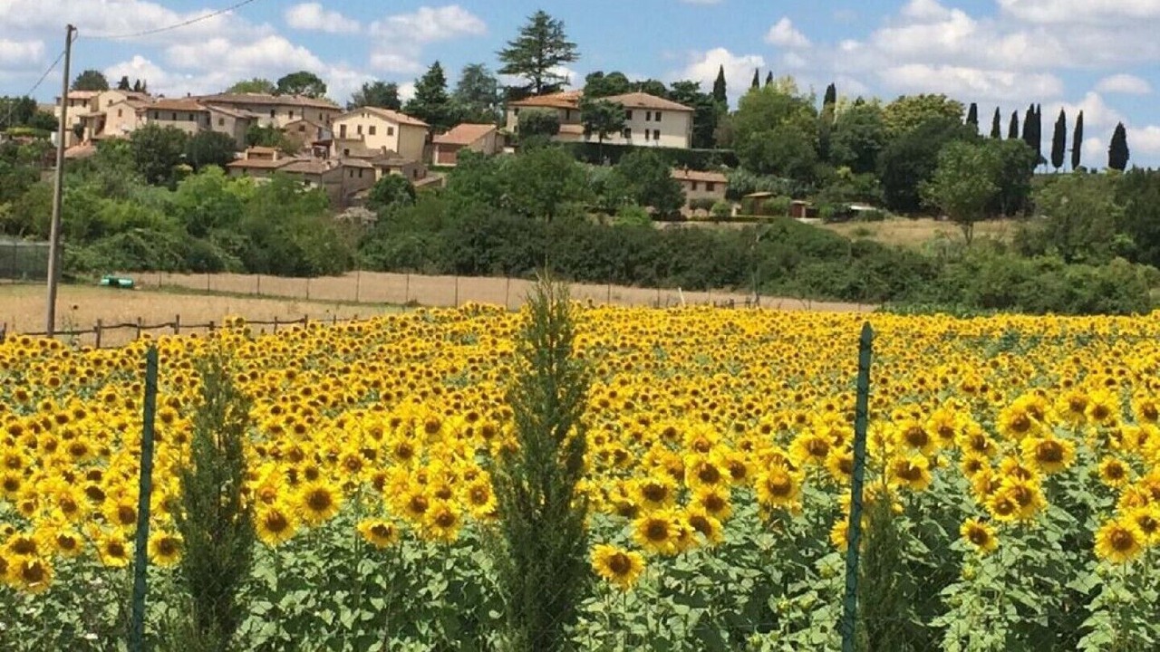 Photo of Outdoor in Poggiarello