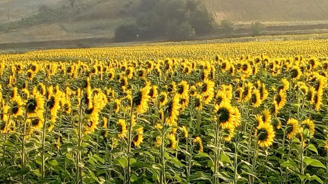 Photo of Outdoor in Bivio Lugnano