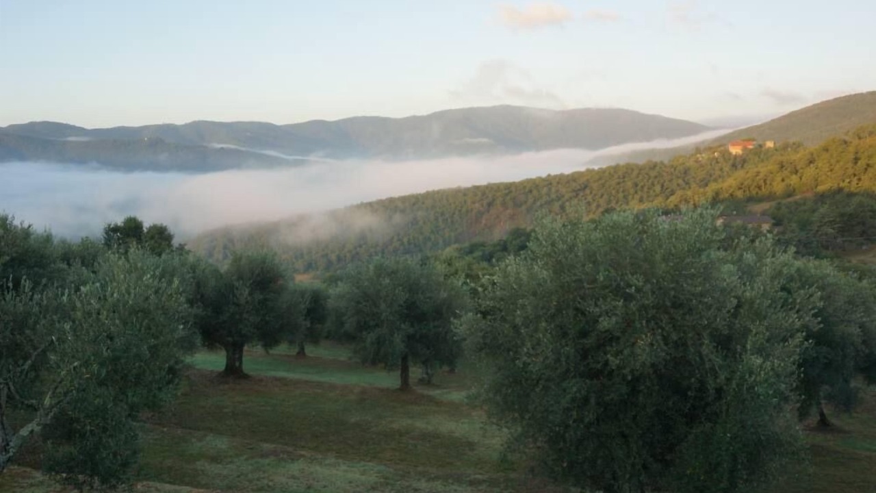 Photo of Outdoor in Bivio Lugnano