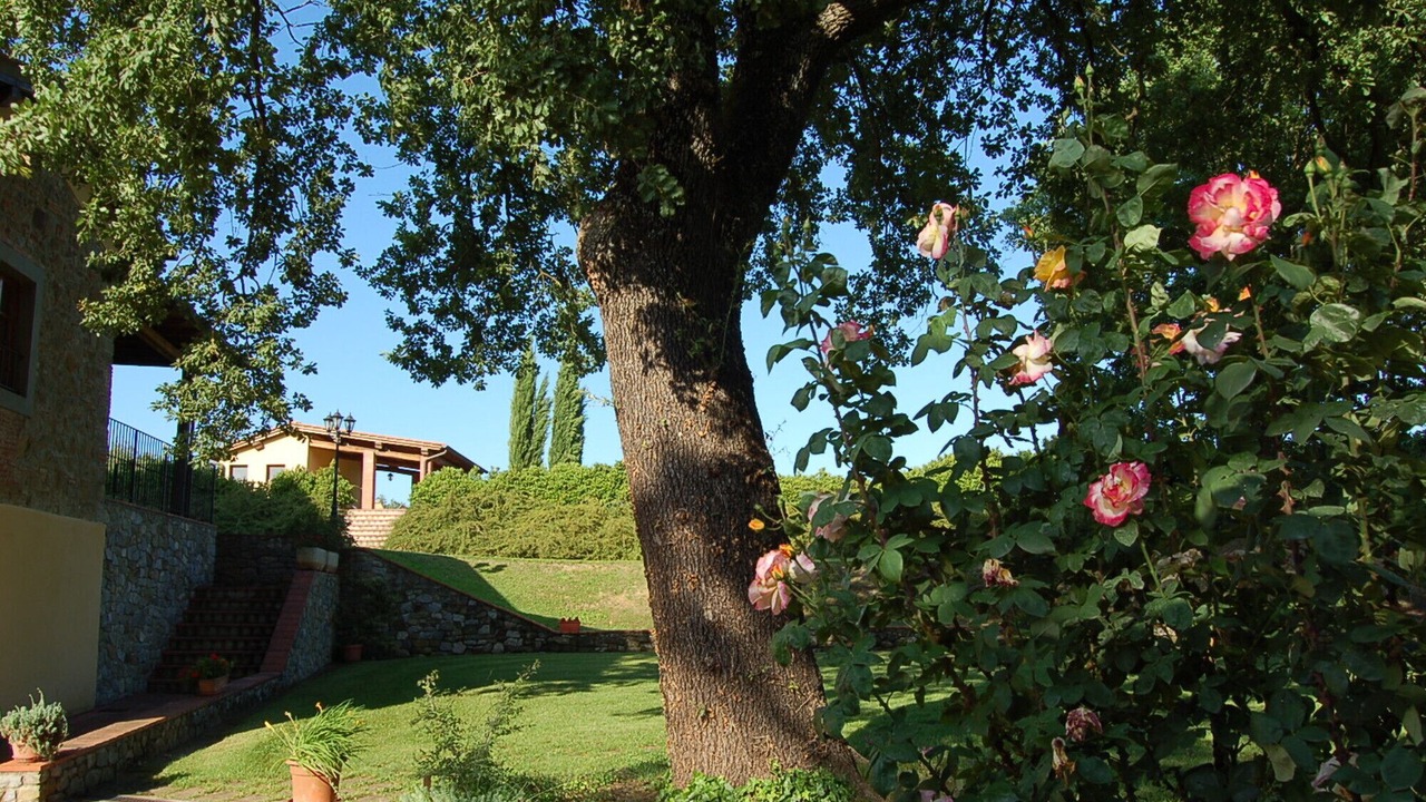 Photo of Outdoor in Pergine Valdarno
