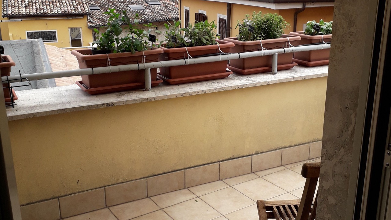 Photo of Others in Centro Storico