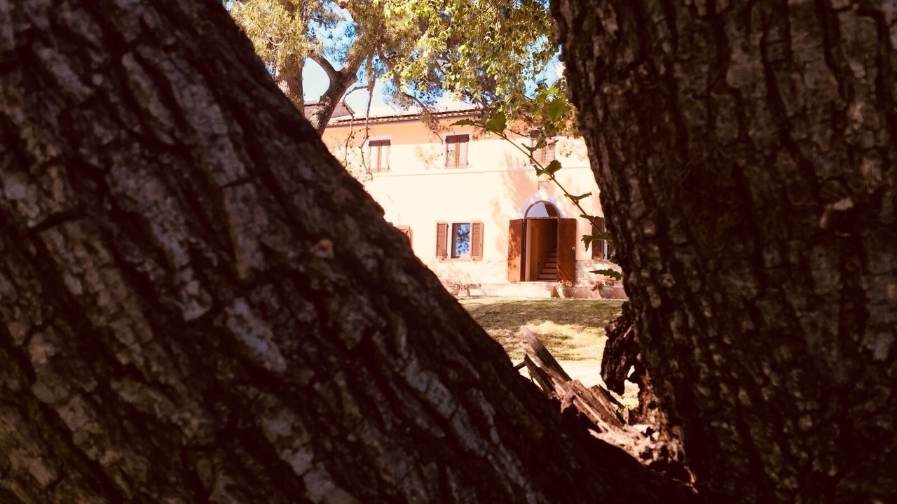 Photo of Outdoor in Fano