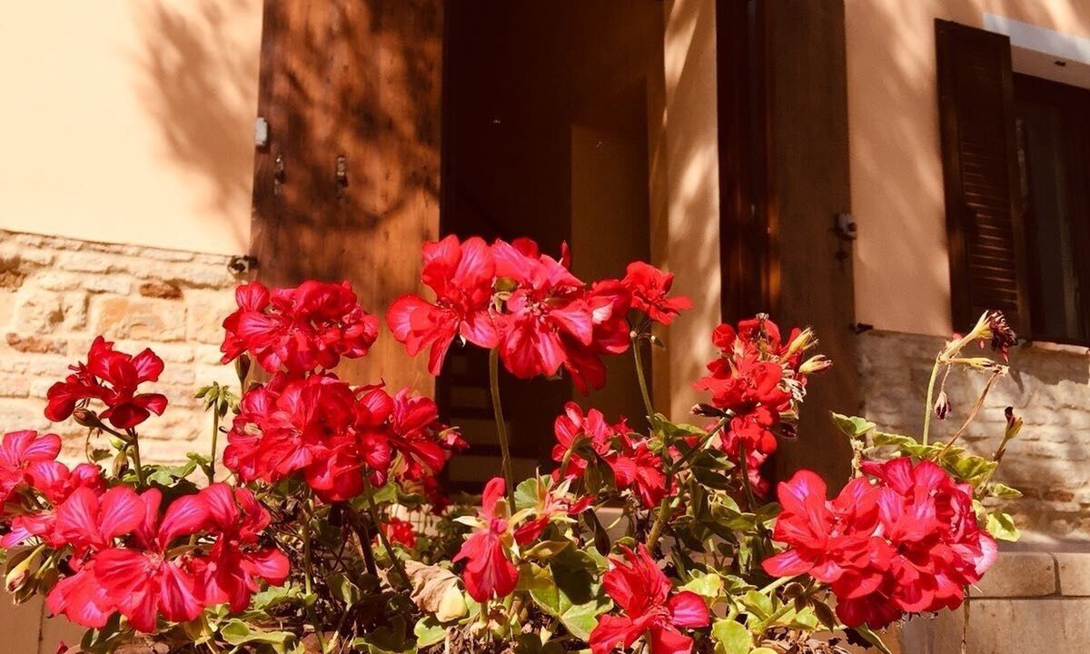 Photo of Outdoor in Fano