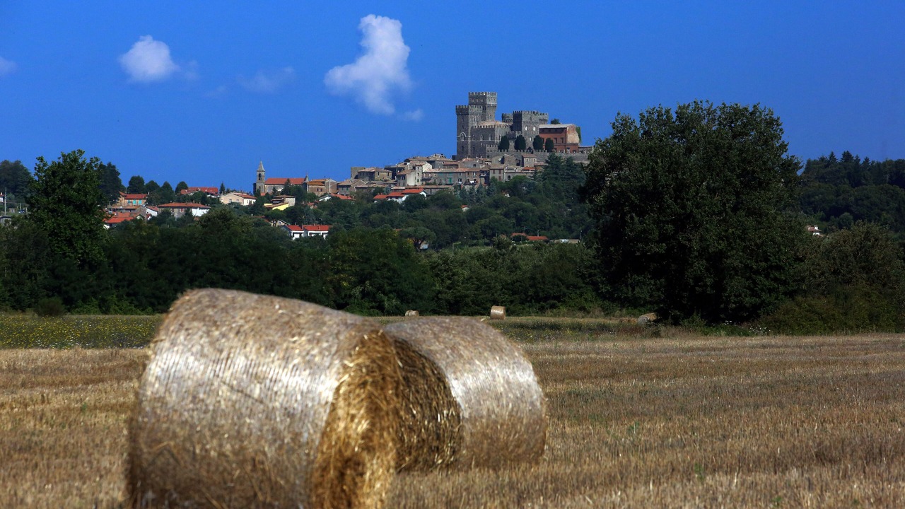 Photo of Outdoor in Torre Alfina