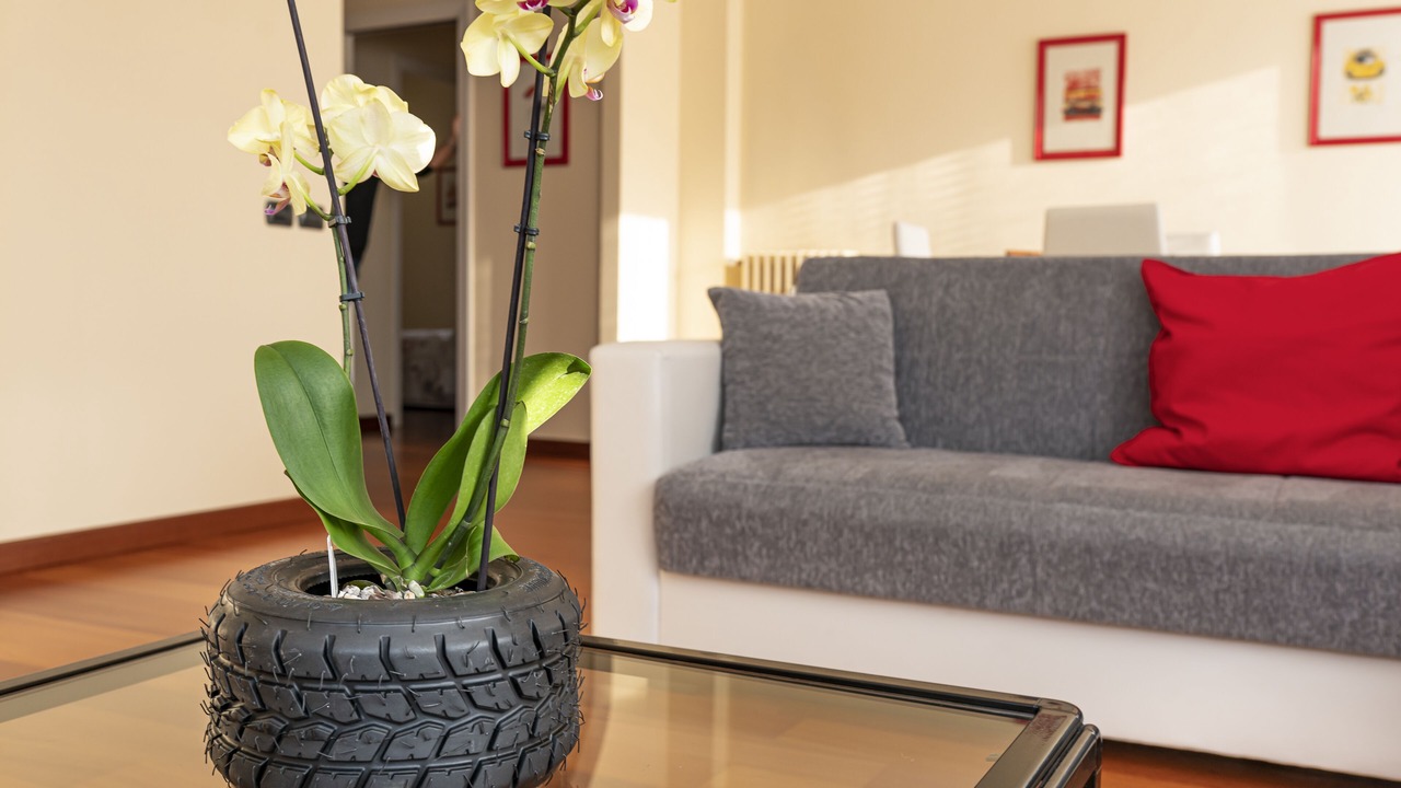 Photo of Livingroom in Maranello