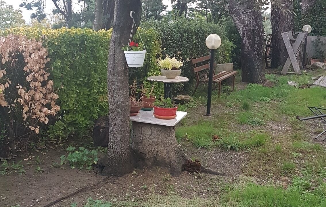 Photo of Outdoor in Nibbiaia