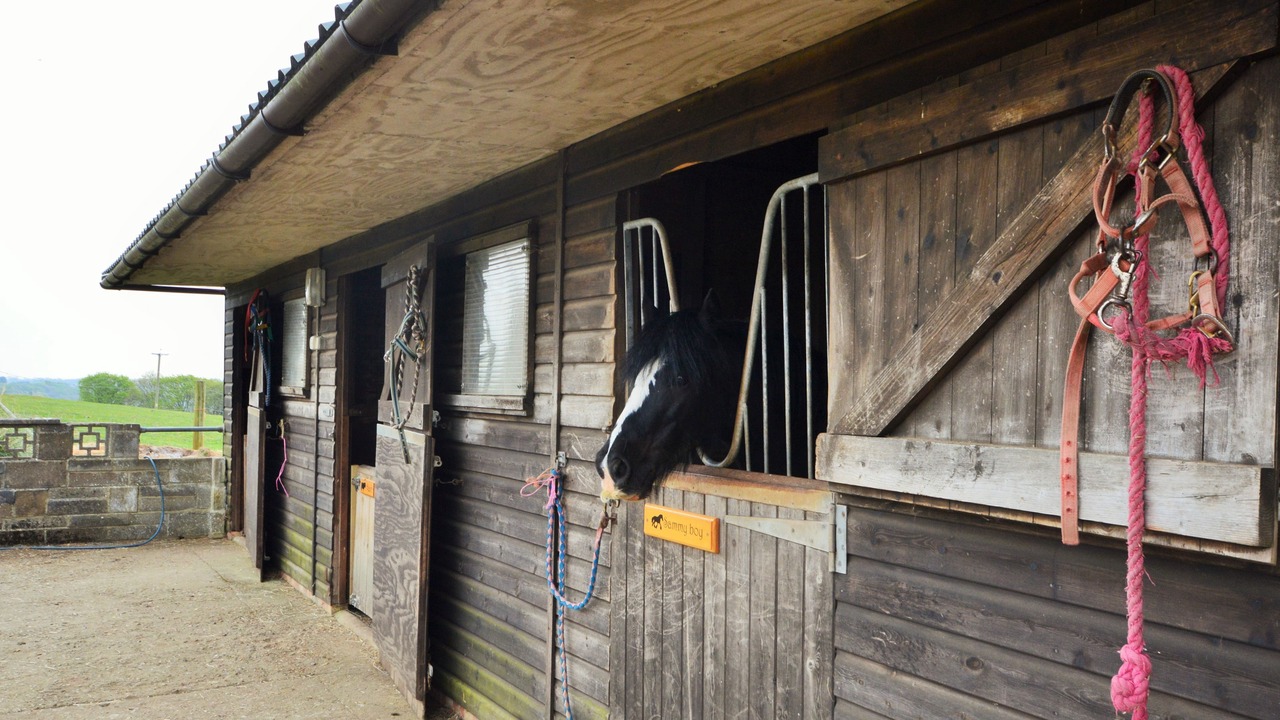 Photo of Outdoor in Sandown