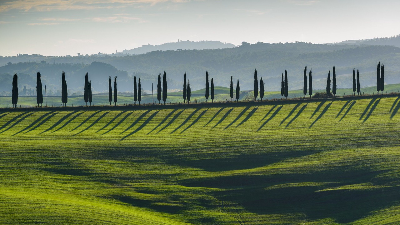 Photo of Others in San Giovanni d'Asso