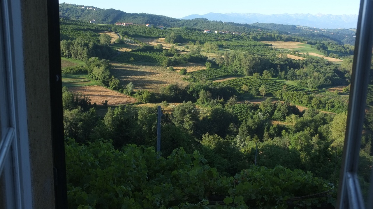Photo of Others in Bossolasco