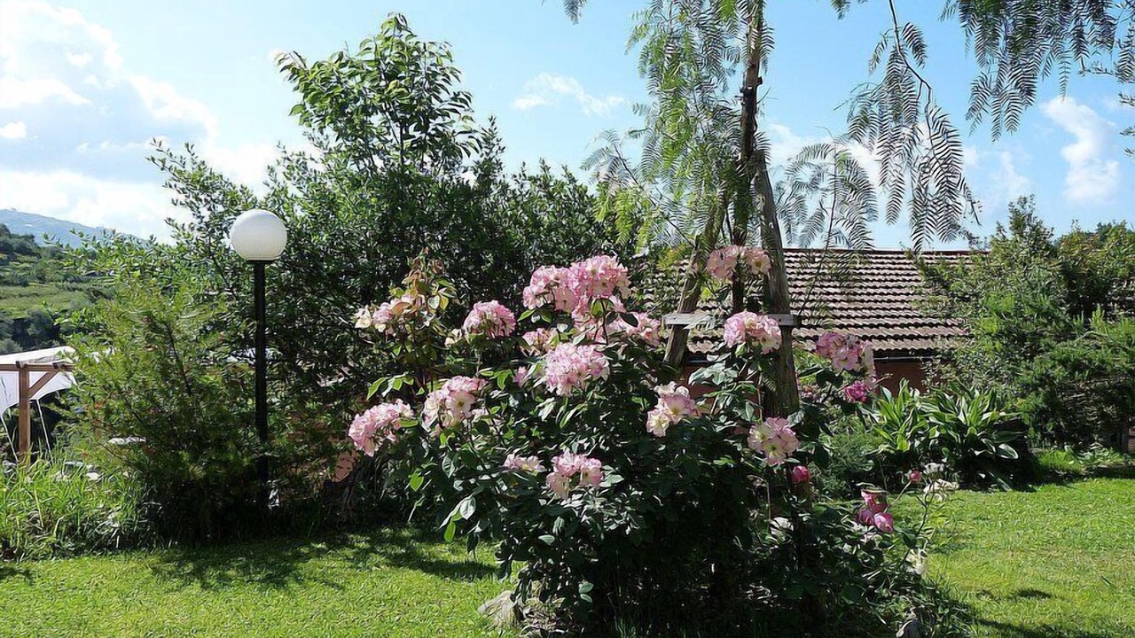 Photo of Outdoor in Chiavari