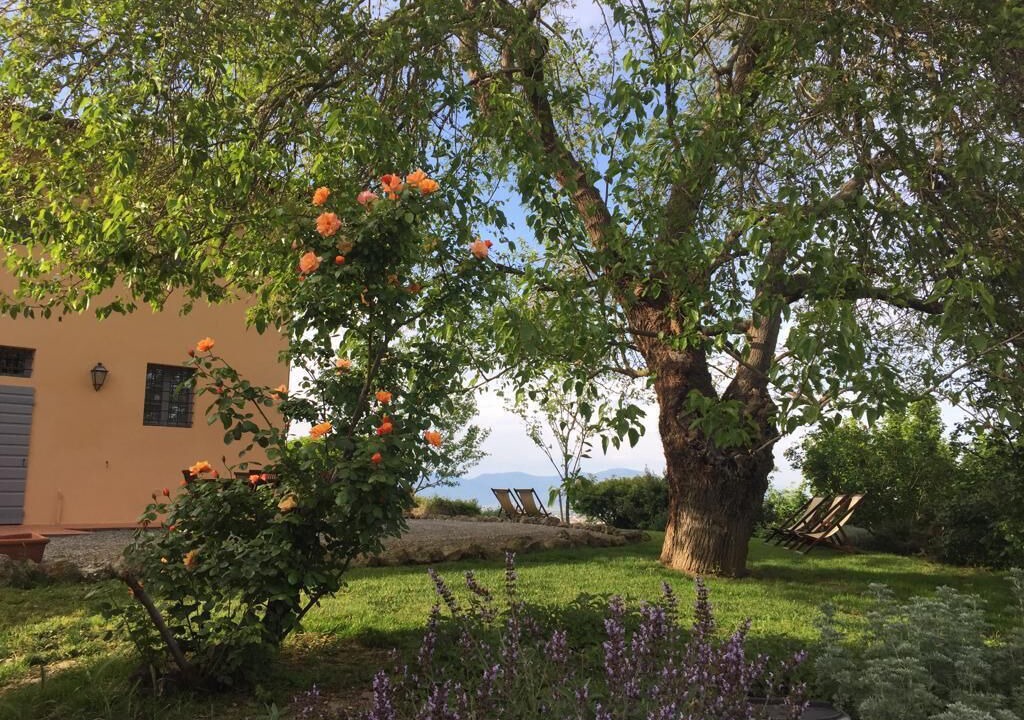 Photo of Outdoor in Castell'Anselmo