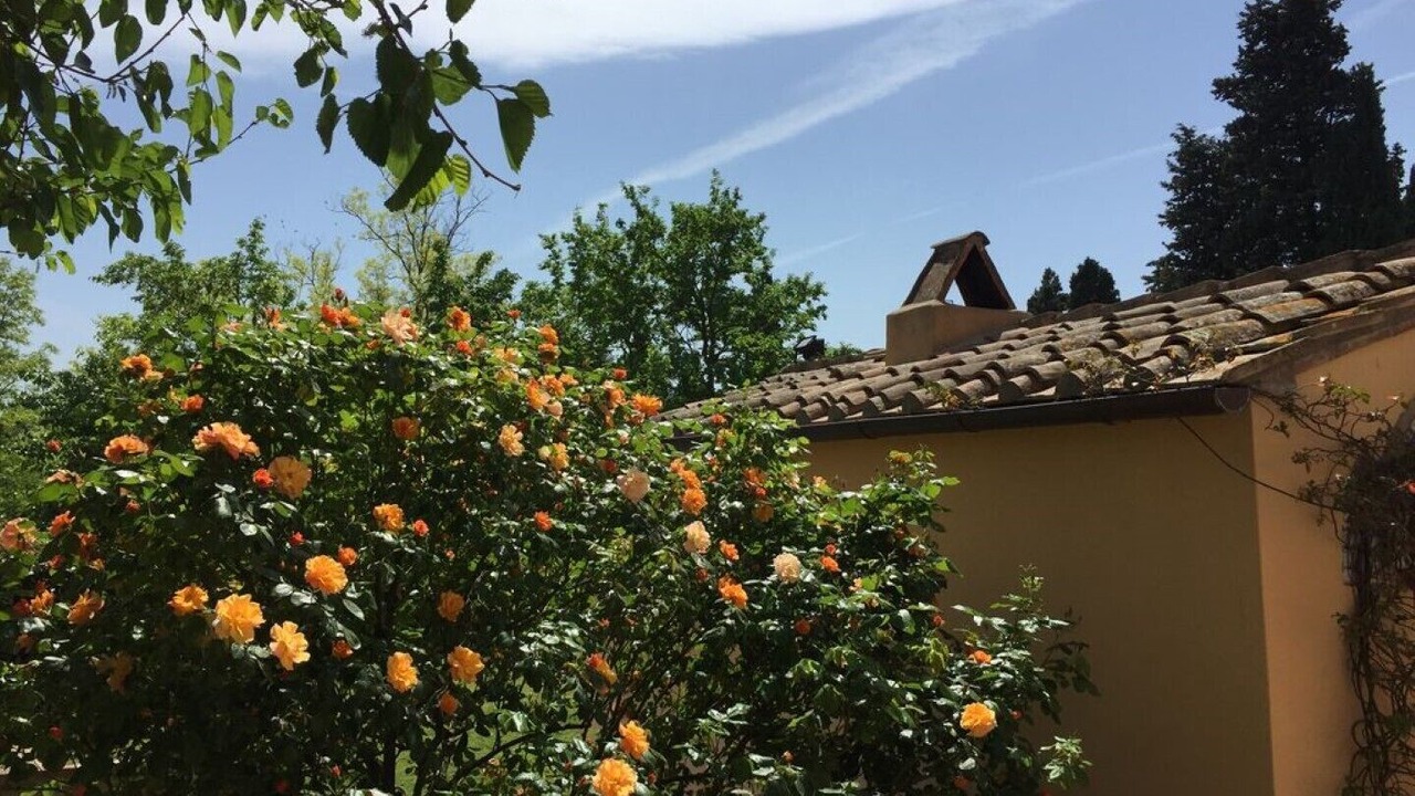 Photo of Outdoor in Castell'Anselmo