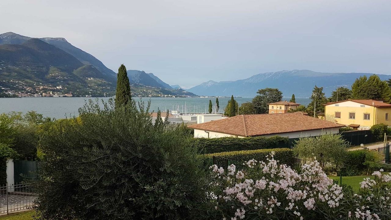 Photo of Others in Portese