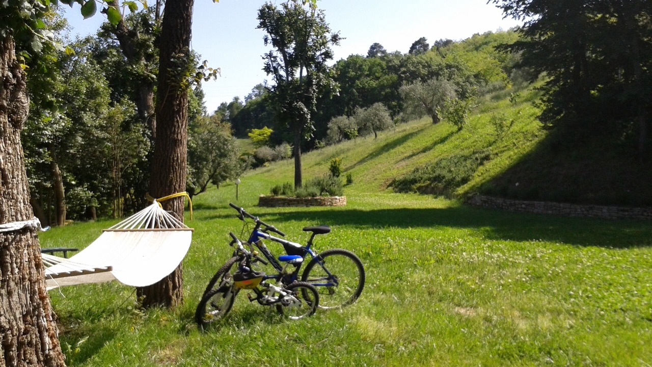 Photo of Outdoor in Pesaro