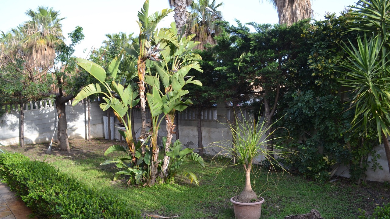 Photo of Outdoor in Patti
