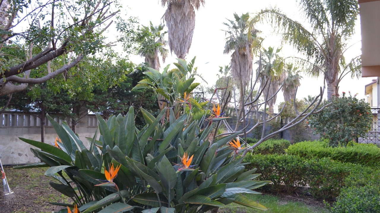 Photo of Outdoor in Patti