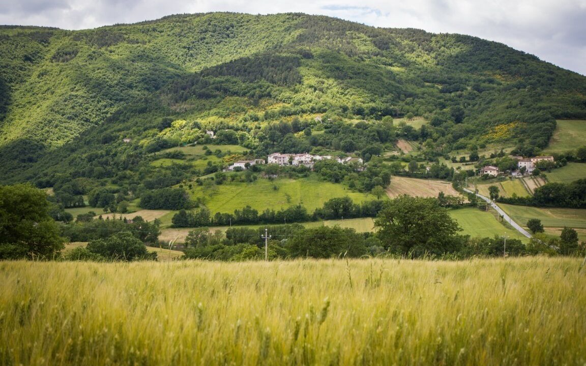 Photo of Outdoor in Genga