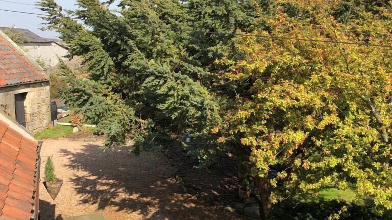 Photo of Outdoor in Cupar