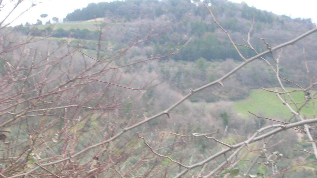 Photo of Outdoor in Fano