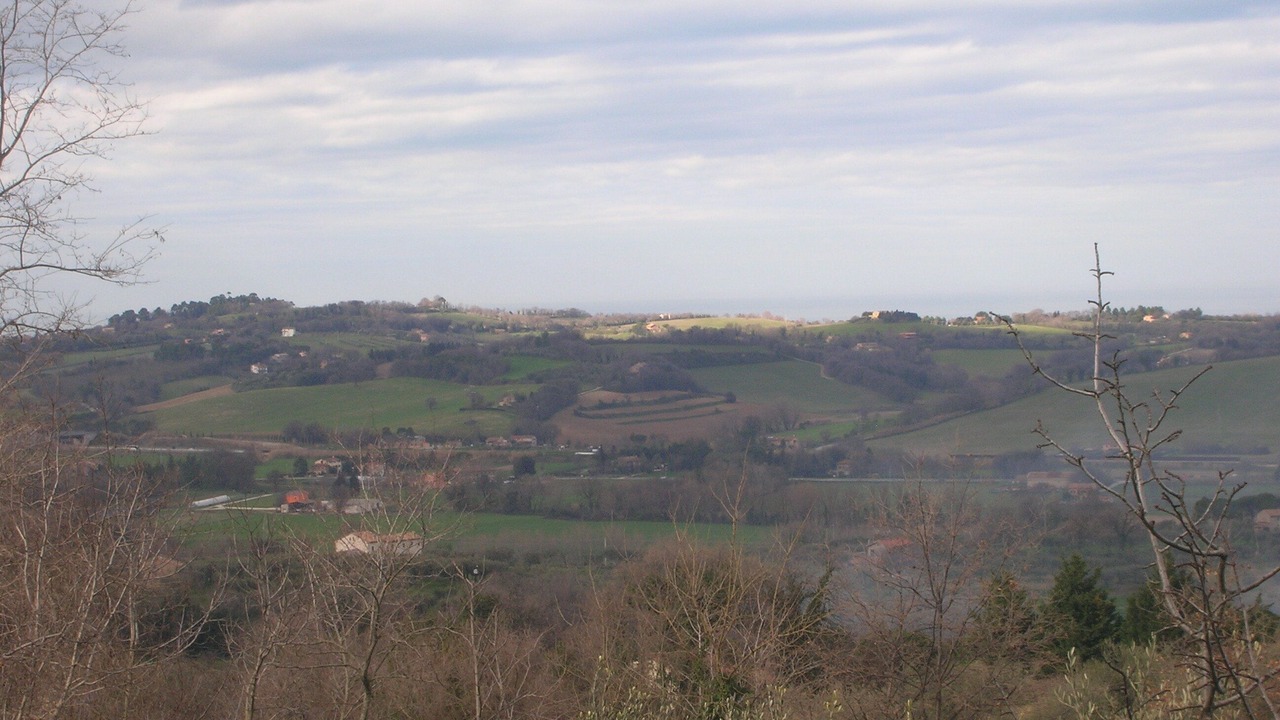 Photo of Others in Fano