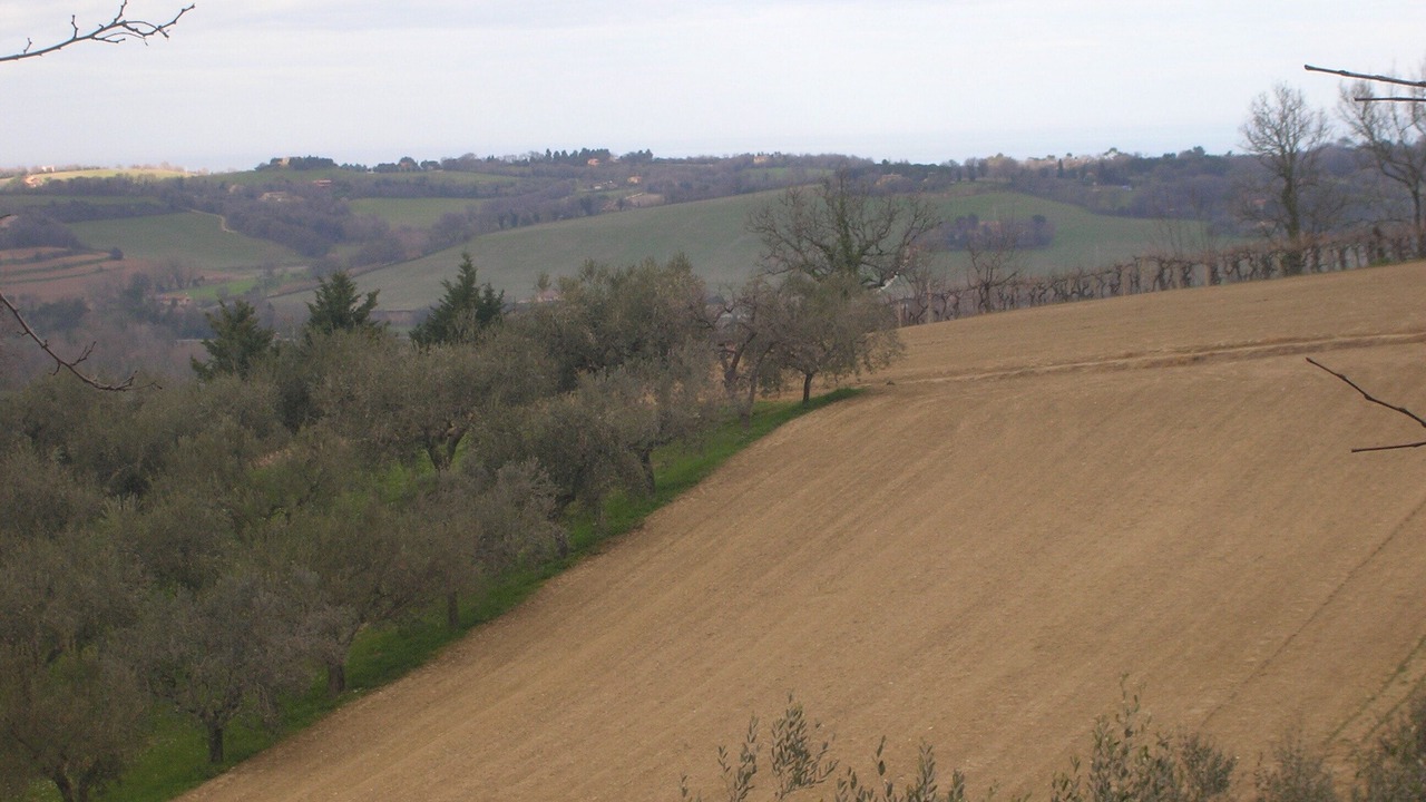 Photo of Others in Fano