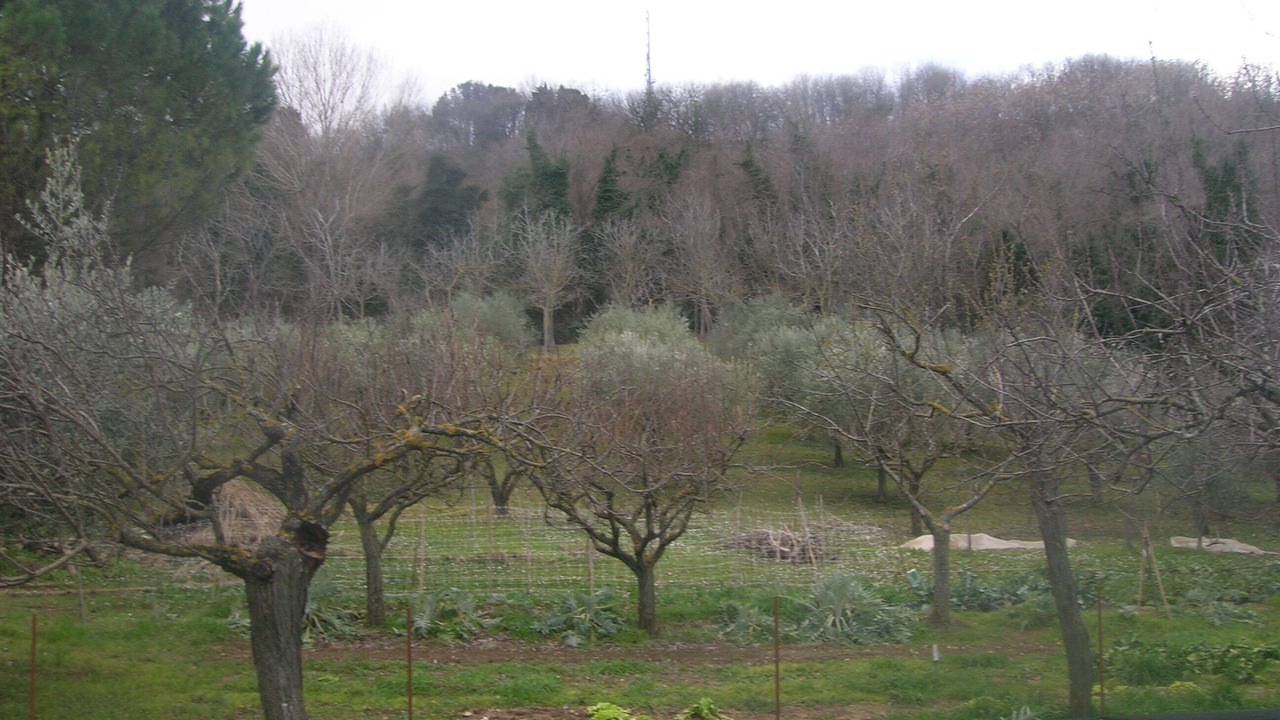 Photo of Outdoor in Fano