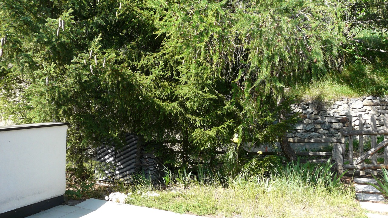 Photo of Outdoor in Sluderno