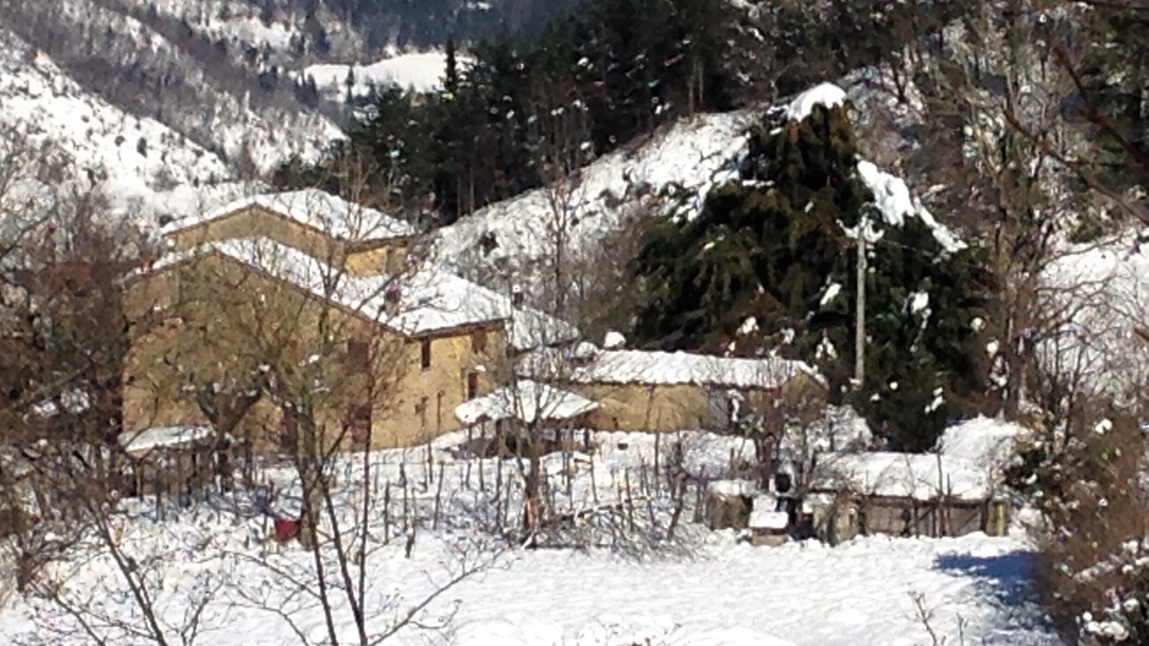 Photo of Outdoor in Tredozio