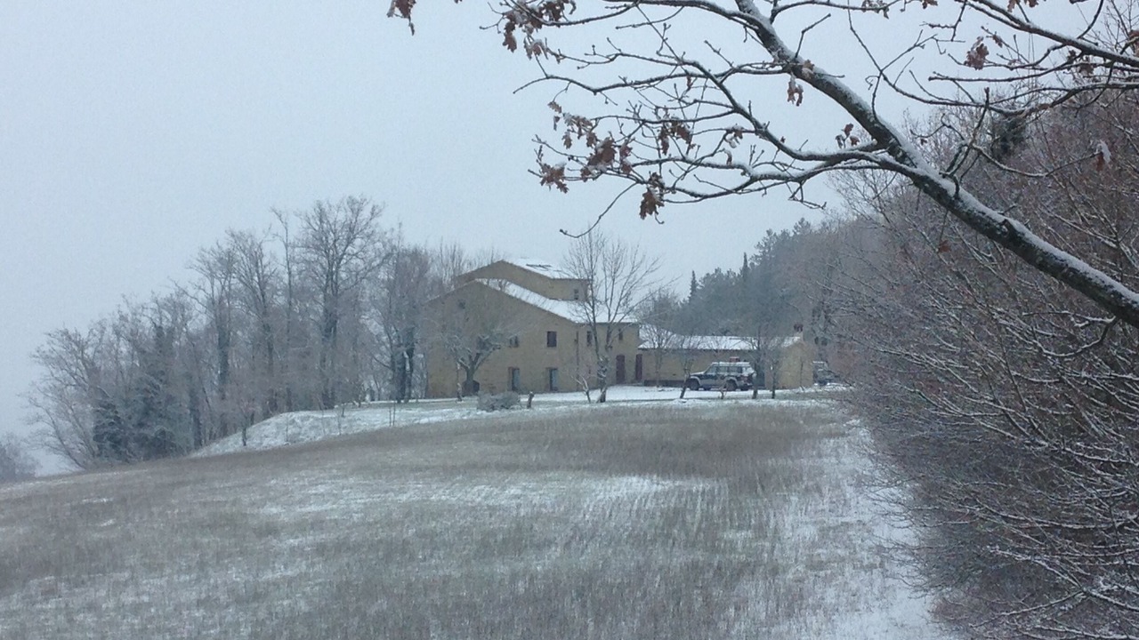 Photo of Outdoor in Tredozio
