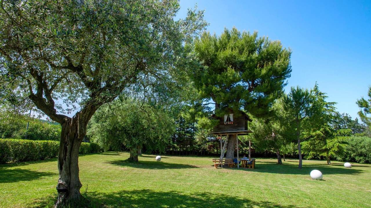 Photo of Others in Potenza Picena